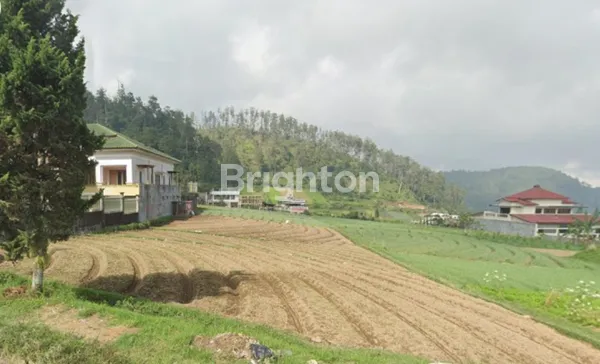 image TANAH VIEW TERBAIK DI TAWANGMANGU (1)