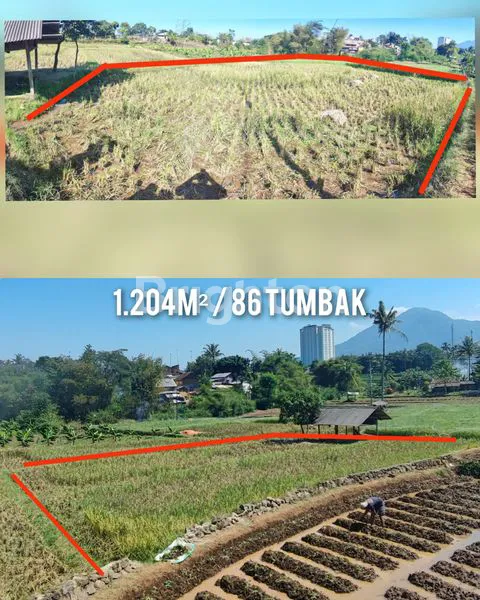 image TANAH SAWAH PRODUKTIF (5)