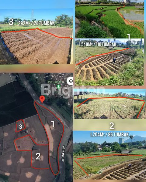 image TANAH SAWAH PRODUKTIF (1)