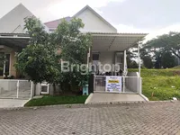 WhatsApp Image 2024 11 15 at 15.39.04