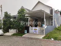 WhatsApp Image 2024 11 15 at 15.39.03