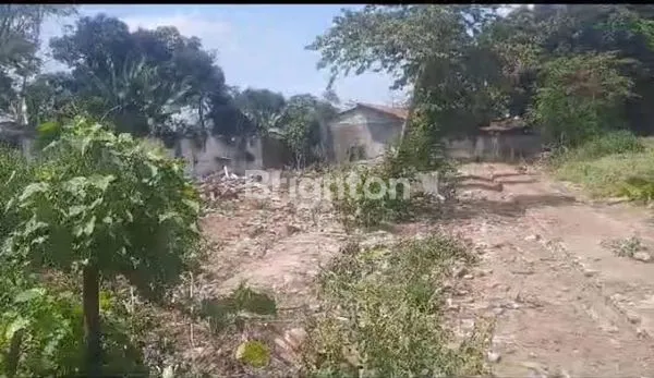 image TANAH EX PETERNAKAN AYAM LOKASI DESA GAMBIRAN, PRIGEN-PASURUAN (8)