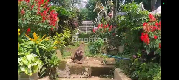 image RUMAH ASRI DI JL. RAYA CIHANJUANG (7)