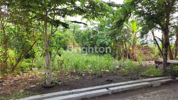 DIJUAL CEPAT TANAH DI PRAMBON SIDOARJO