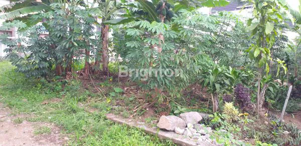 image DIJUAL TANAH SALATIGA ARGOMULYO (2)