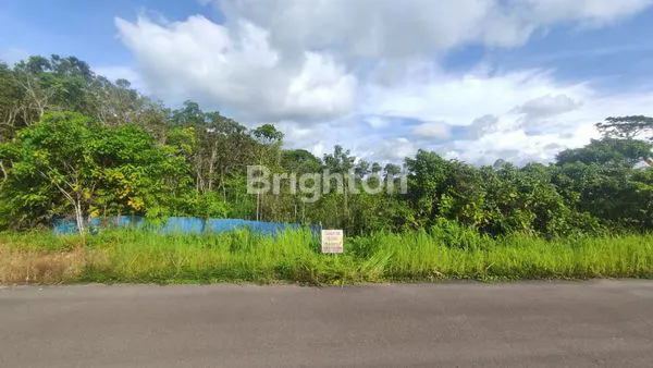 TANAH LUAS DI KALIMANTAN BARAT
