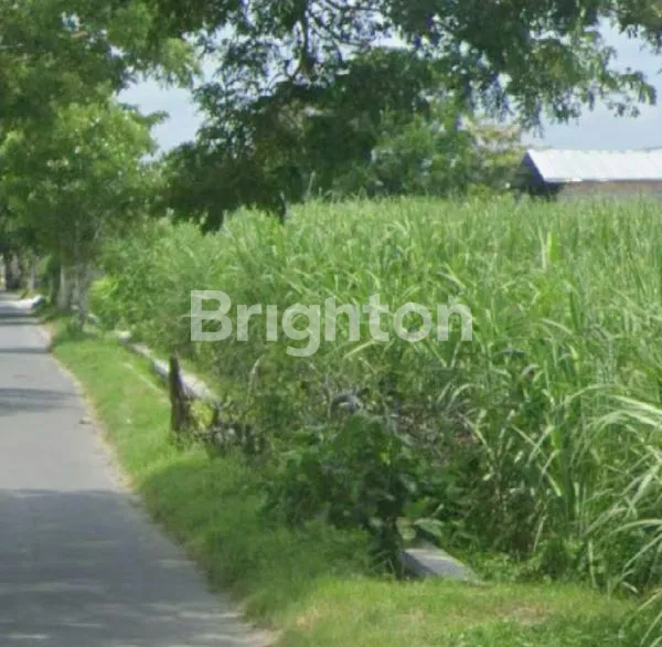 image LAHAN PERTANIAN BISA BUAT HUNIAN YANG SEJUK (1)