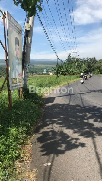 image JUAL RUGI\U203C\UFE0FLAHAN TANAH  SEMUT PURWODADI PASURUAN (2)