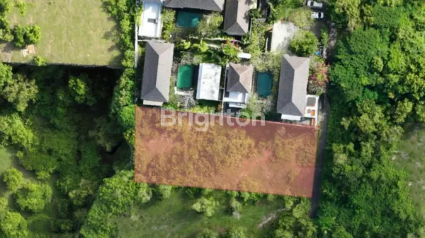 image TANAH MURAH 10 ARE COCOK UNTUK VILLA DAERAH UNGASAN (1)