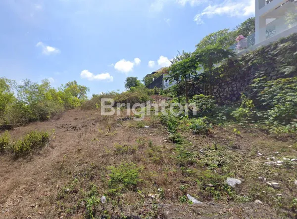 image TANAH MURAH 10 ARE COCOK UNTUK VILLA DAERAH UNGASAN (3)