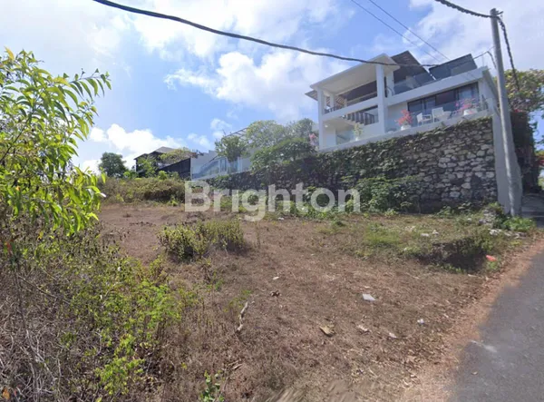 image TANAH MURAH 10 ARE COCOK UNTUK VILLA DAERAH UNGASAN (5)