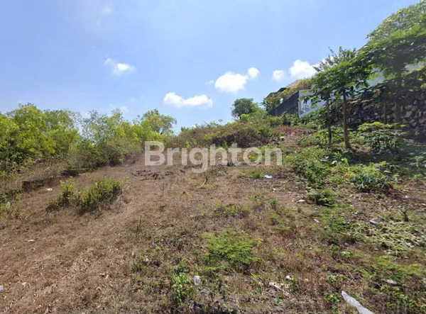 image TANAH MURAH 10 ARE COCOK UNTUK VILLA DAERAH UNGASAN (8)