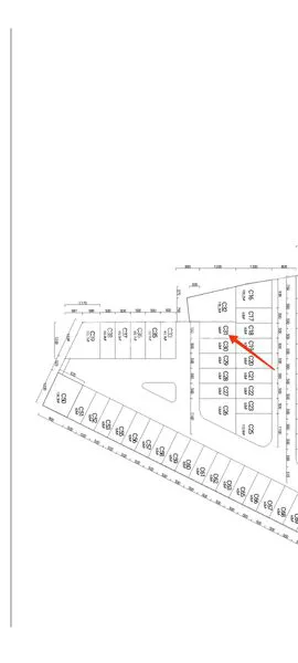 image KAVLING BAYLEAF (1)