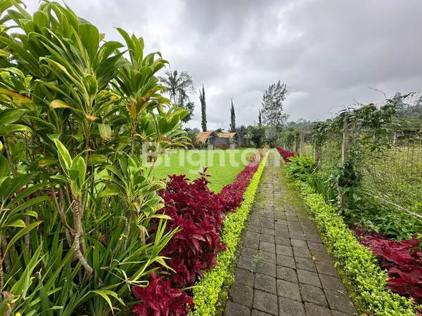image VILLA SUPER BESAR LAHAN BESAR SUDAH TERTATA RAPIH VIEW PEGUNUNGAN DAERAH BEDUGUL DANAU BATUR  (5)