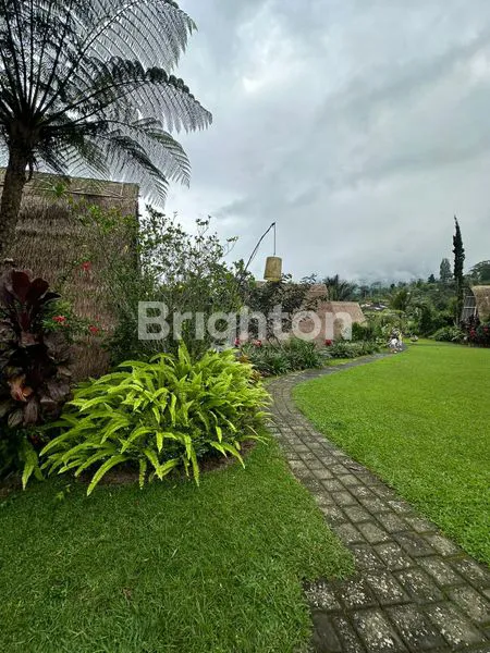 image VILLA SUPER BESAR LAHAN BESAR SUDAH TERTATA RAPIH VIEW PEGUNUNGAN DAERAH BEDUGUL DANAU BATUR  (8)