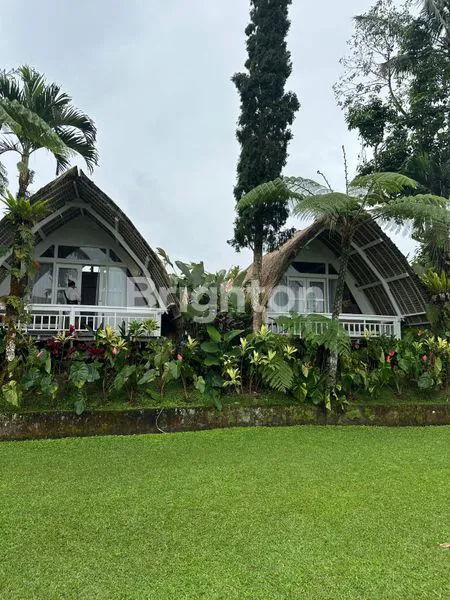 image VILLA SUPER BESAR LAHAN BESAR SUDAH TERTATA RAPIH VIEW PEGUNUNGAN DAERAH BEDUGUL DANAU BATUR  (3)