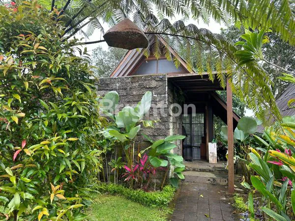 image VILLA SUPER BESAR LAHAN BESAR SUDAH TERTATA RAPIH VIEW PEGUNUNGAN DAERAH BEDUGUL DANAU BATUR  (6)