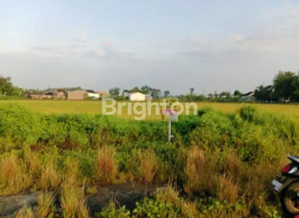 image MANCASAN, SUKOHARJO, TANAH KAPLING HARGA MURAH MASIH NEGO, AKSES  JALAN SUDAH DI ASPAL, KE JL  TANJUNG ANOM HANYA 6 MENIT (1)