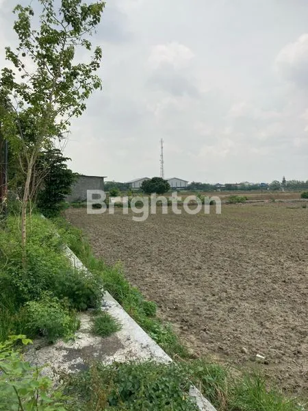 image TANAH 0 JALAN RAYA PLOT INDUSTRI 4,5HEKTAR MURAH BANGET  (2)