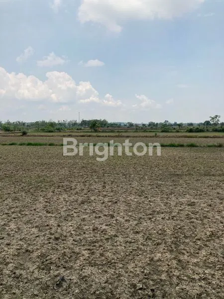 image TANAH 0 JALAN RAYA PLOT INDUSTRI 4,5HEKTAR MURAH BANGET  (3)