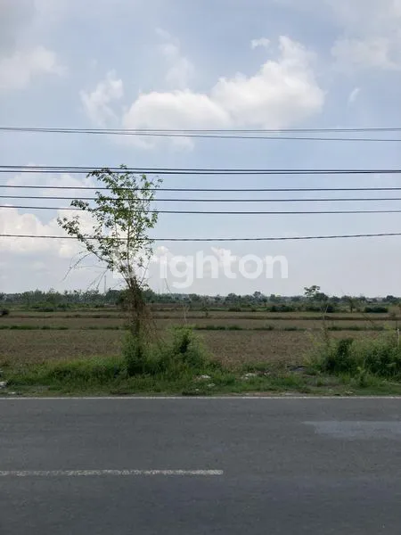 image TANAH 0 JALAN RAYA PLOT INDUSTRI 4,5HEKTAR MURAH BANGET  (7)