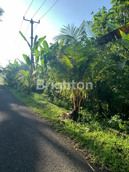 image PROPERTI EKSKLUSIF 1 HEKTAR DI DESA PANGYANGAN, DEKAT PANTAI & JALAN RAYA (2)