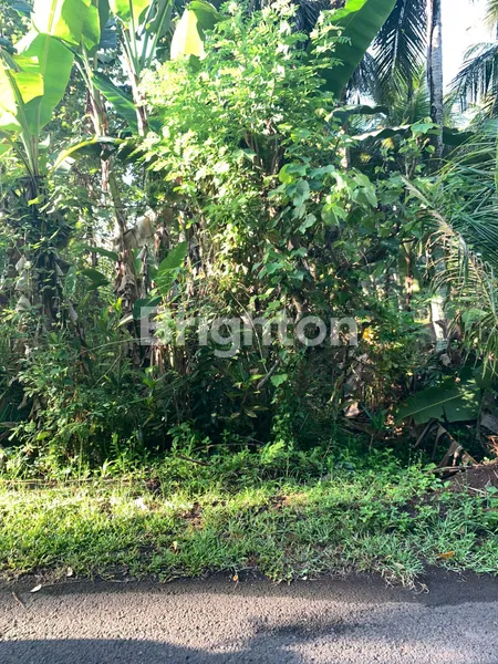 image PROPERTI EKSKLUSIF 1 HEKTAR DI DESA PANGYANGAN, DEKAT PANTAI & JALAN RAYA (4)
