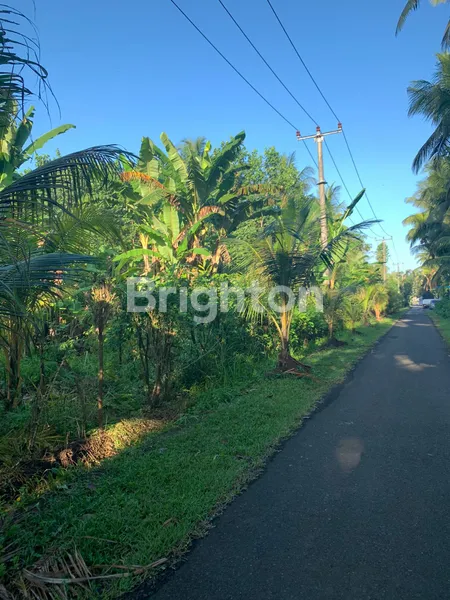image PROPERTI EKSKLUSIF 1 HEKTAR DI DESA PANGYANGAN, DEKAT PANTAI & JALAN RAYA (1)