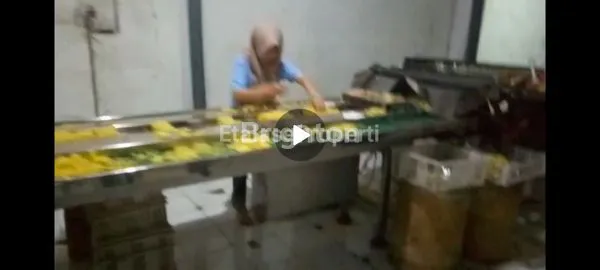 image PABRIK MIE MOJOAGUNG JOMBANG (1)