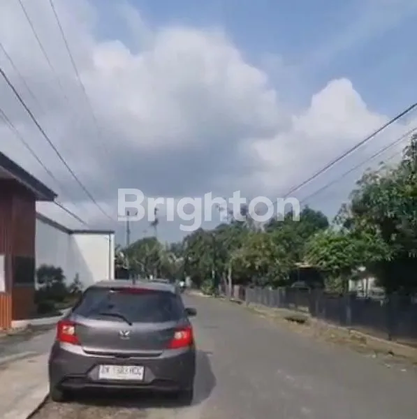 image GRAND AMARYLLIS (6)