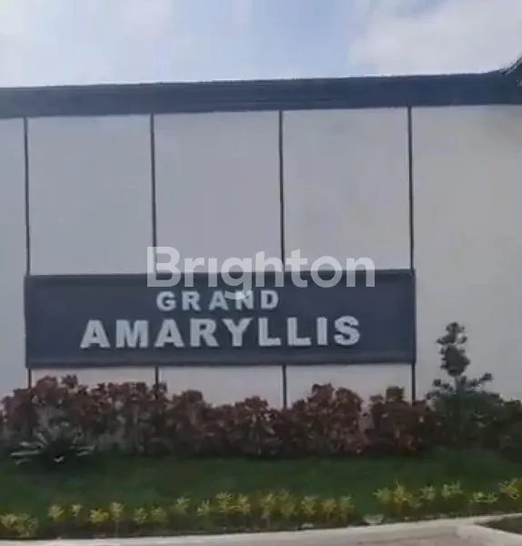 image GRAND AMARYLLIS (8)