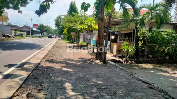 image MOJOPURNO  (2)