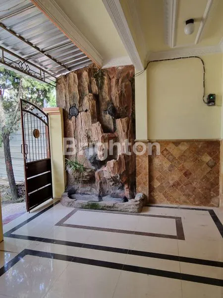 image MOJOPURNO  (3)