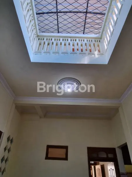 image MOJOPURNO  (8)