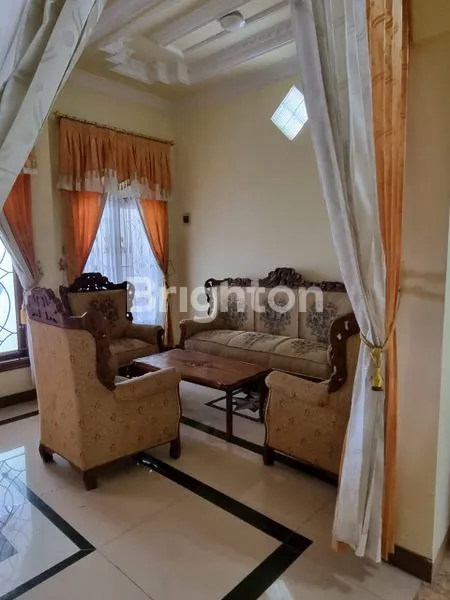 image MOJOPURNO  (7)