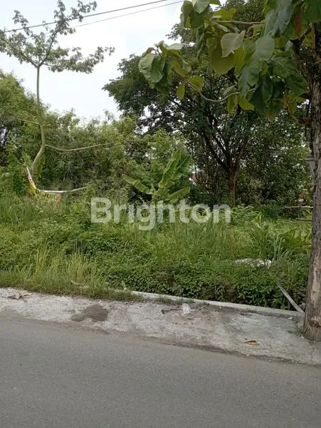 image SEBIDANG TANAH DI JL SEDAP MALAM (2)