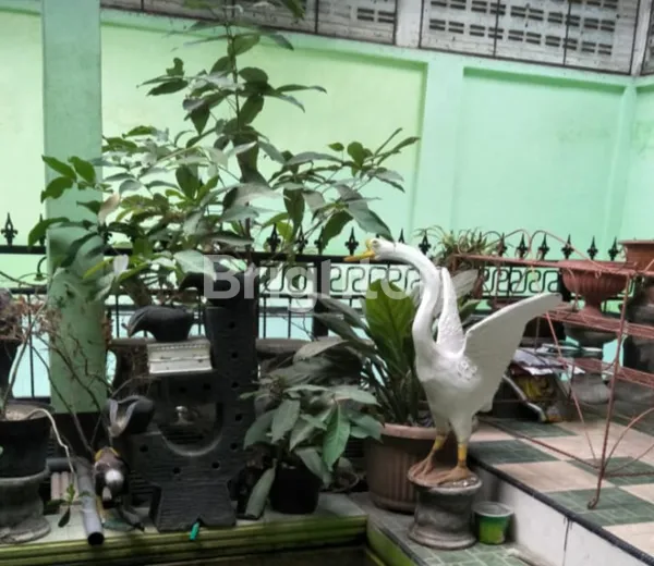 image IKLAN RUMAH, GOGORANTE (3)