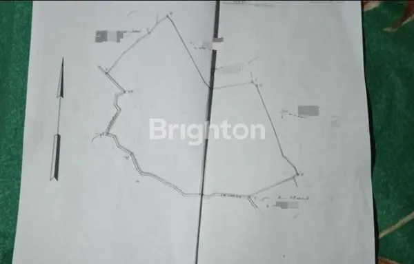 image TANAH KEBUN DAN SAWAH DI CIMAHI UTARA (8)