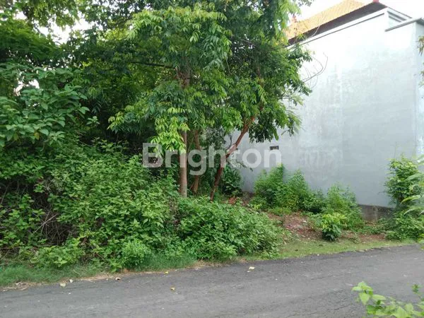 image TANAH 4 ARE JL GOA GONG JIMBARAN KUTA SELATAN (5)