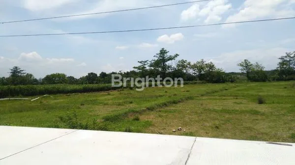 image LAHAN PINGGIR JALAN RAYA DI MOJOKERTO, LEBAR 45M², SIAP UNTUNG*_ *LUAS 4500, TANAH DI DESA BRAYUNG, MOJOKERTO* (1)