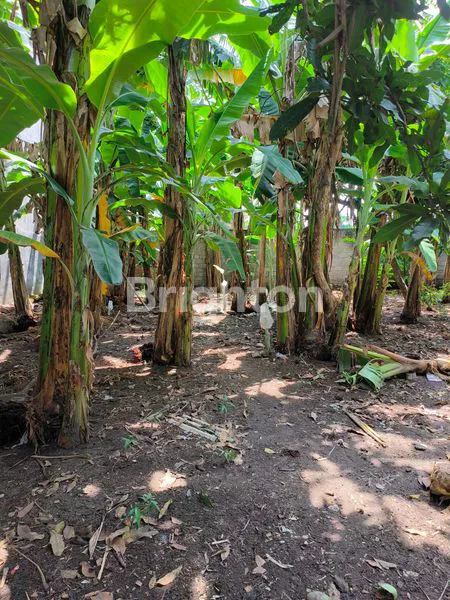 image RUMAH HITUNG TANAH DI SIMPANG LIMA GUMUL KEDIRI (5)