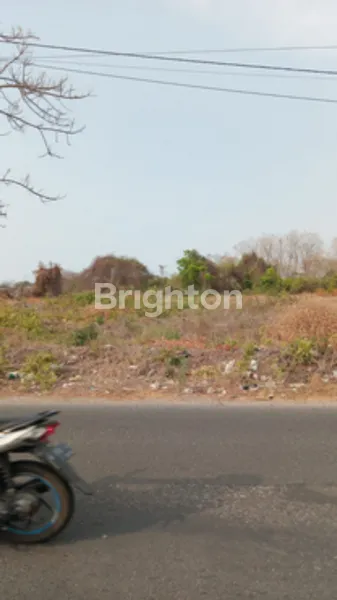 image FOR SALE - TANAH BUNGAH GRESIK NOL JL RAYA (3)