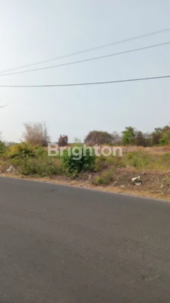 image FOR SALE - TANAH BUNGAH GRESIK NOL JL RAYA (4)