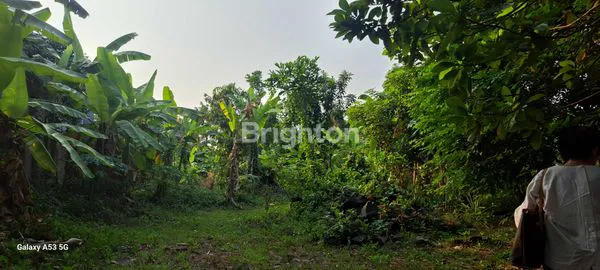 image TANAH LUAS 7436M² DI LENTENG AGUNG (6)