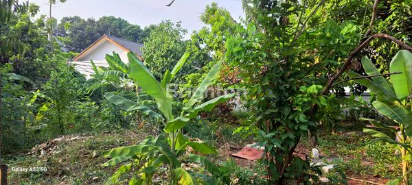 image TANAH LUAS 7436M² DI LENTENG AGUNG (4)