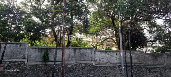 image TANAH LUAS 7436M² DI LENTENG AGUNG (5)