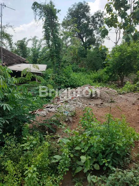 image TANAH PROSPEK PERUMAHAN (1)