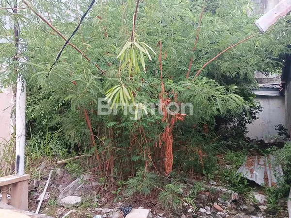 image TANAH KAVLING STRATEGIS RAWAMANGUN 164M²  (6)