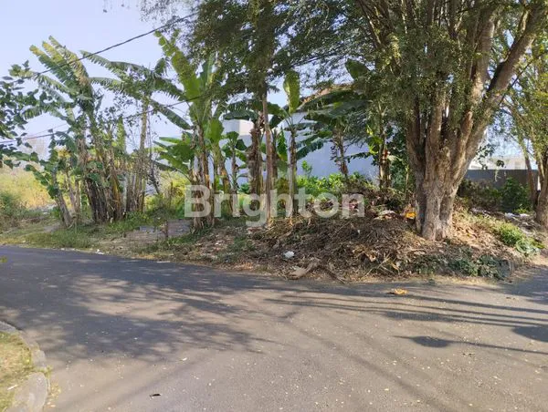 image TANAH HOOK PUNCAK DIENG (1)