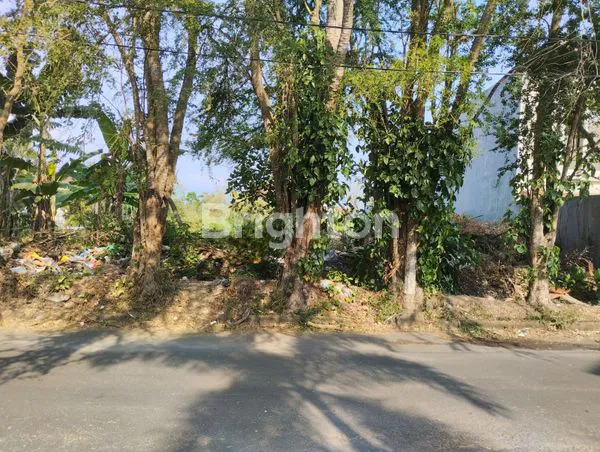 image TANAH SIAP BANGUN PUNCAK DIENG (1)